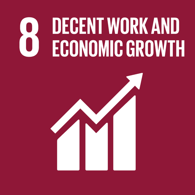 SDG Decent work and economic growth