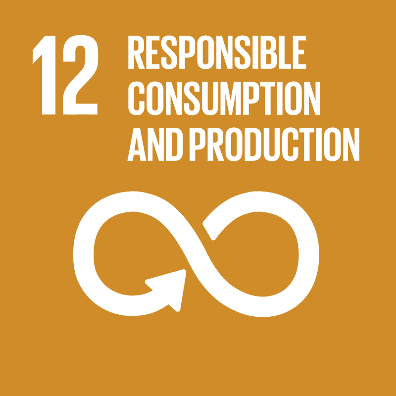 SDG Responsible consumption and production