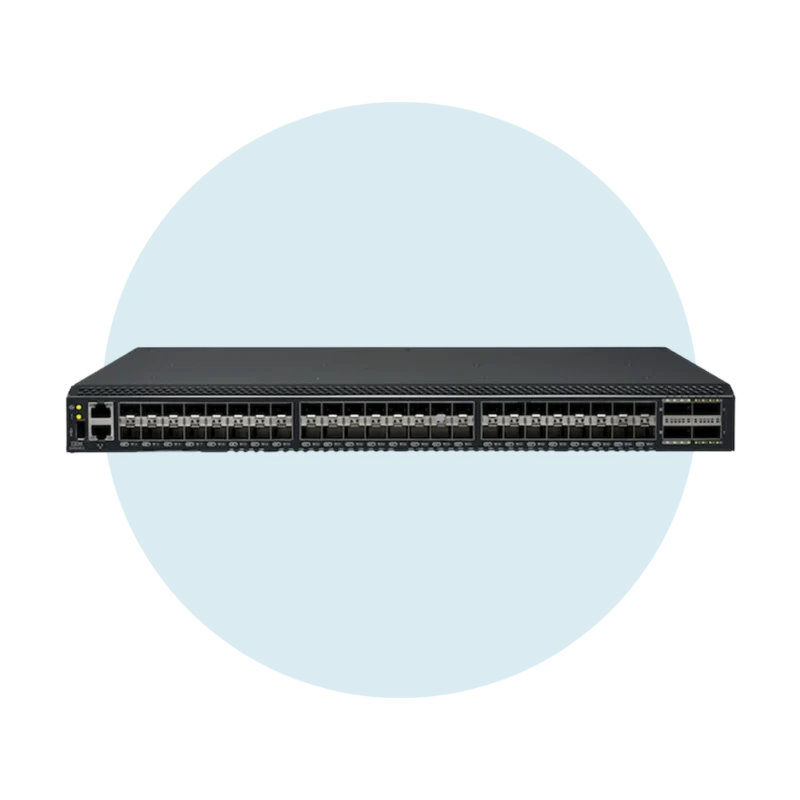 IBM SAN switches